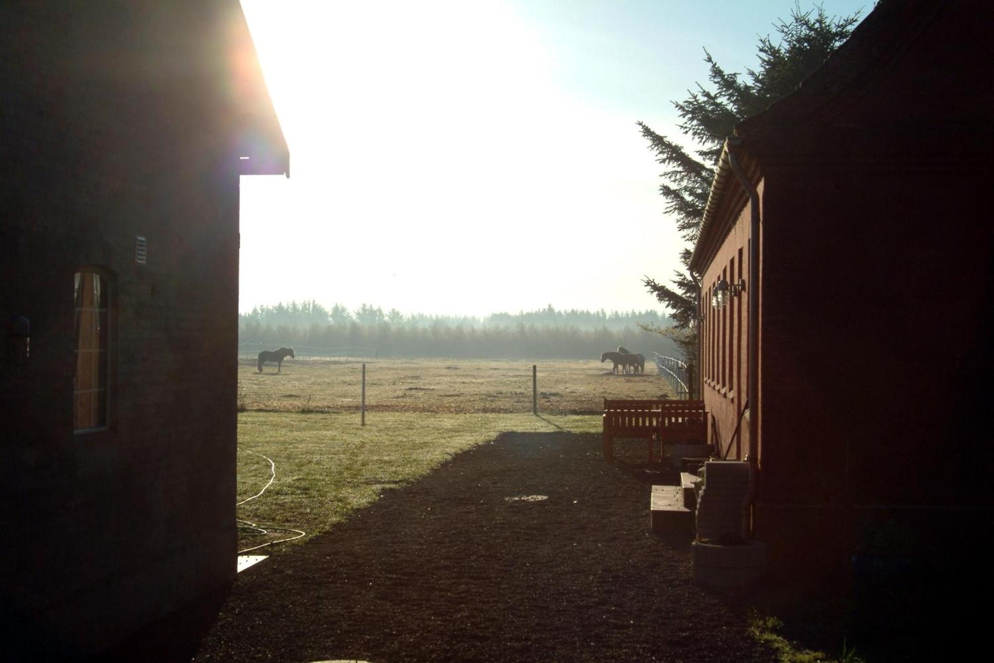 Nordkap Farm Holiday & Hostel Bindslev Екстериор снимка