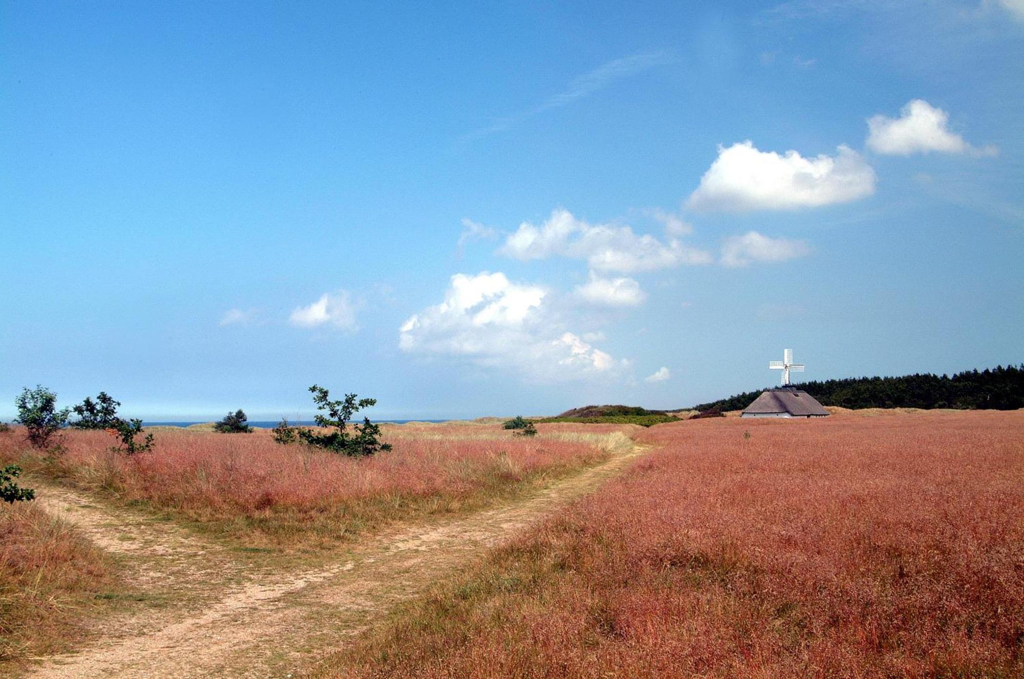 Nordkap Farm Holiday & Hostel Bindslev Екстериор снимка